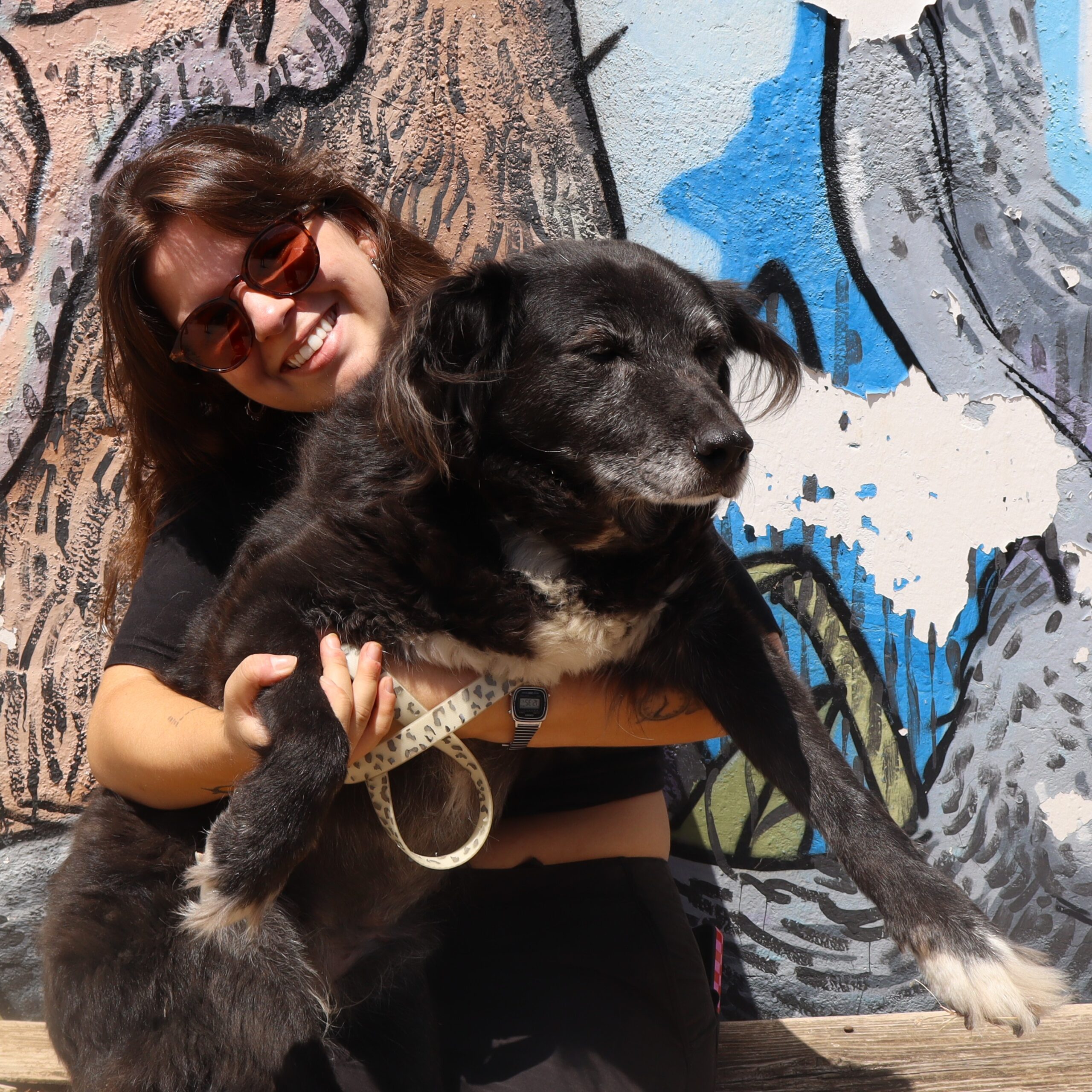 Dolce, animal da Quintinha Abc, com um membro da equipa da Inovar Autismo