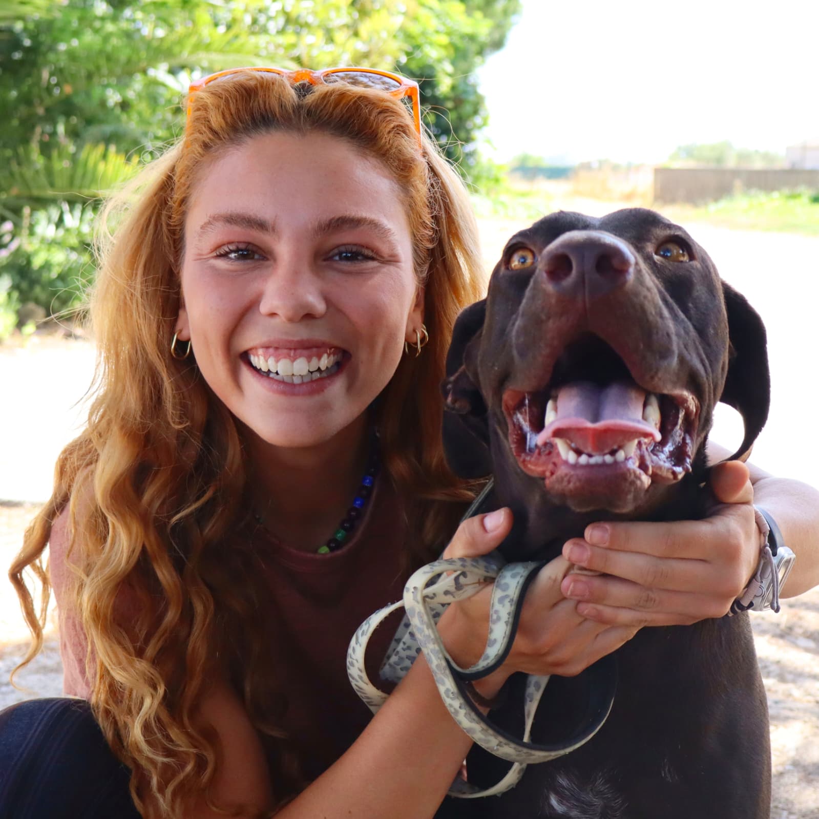 Viradouro, cão da Quintinha Abc, com um membro da equipa da Inovar Autismo