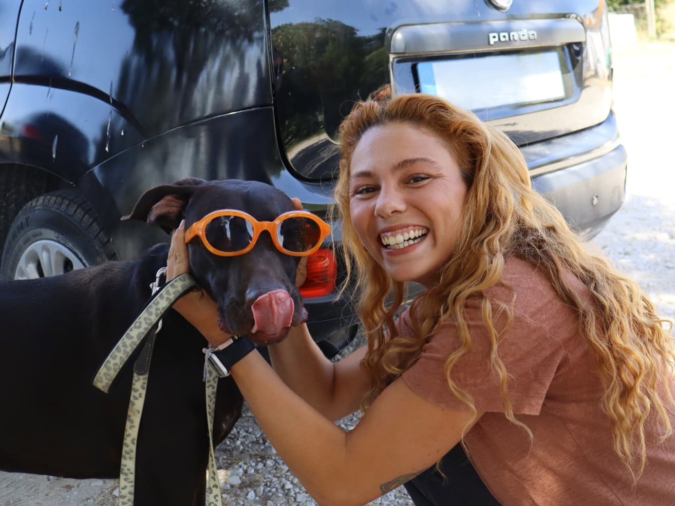 Colaboradores da Inovar Autismo com cães e gatos da Quintinha Abc