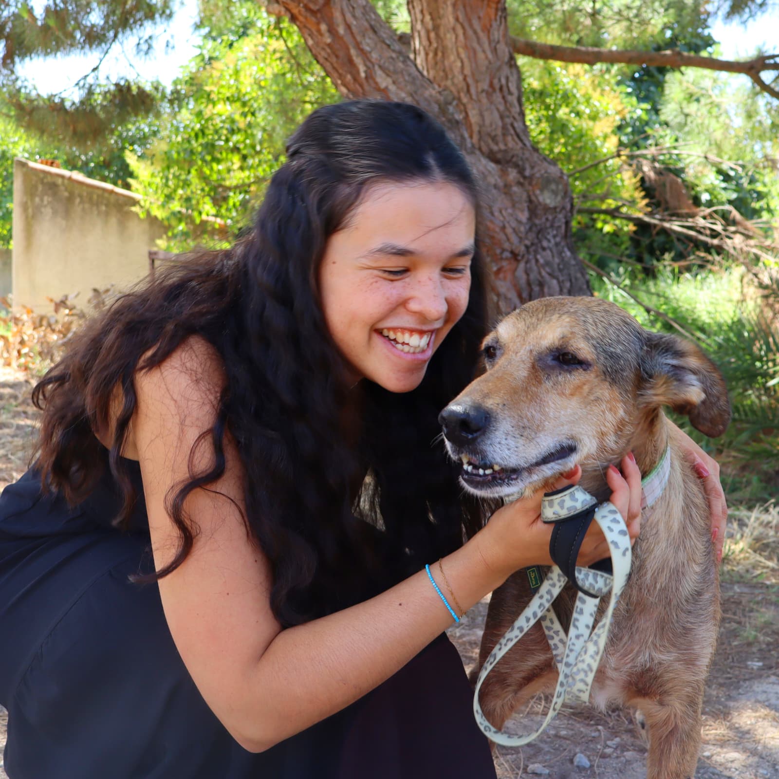 Sid, cão da Quintinha Abc, com um membro da equipa da Inovar Autismo